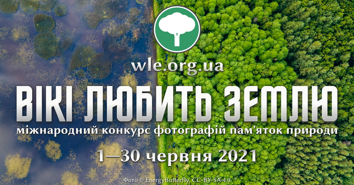 Фотографія